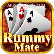 Rummy Mate icon